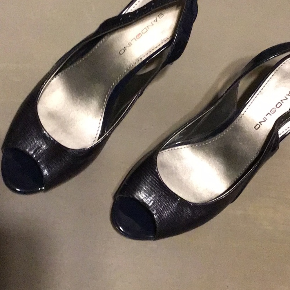 Navy blue shoes